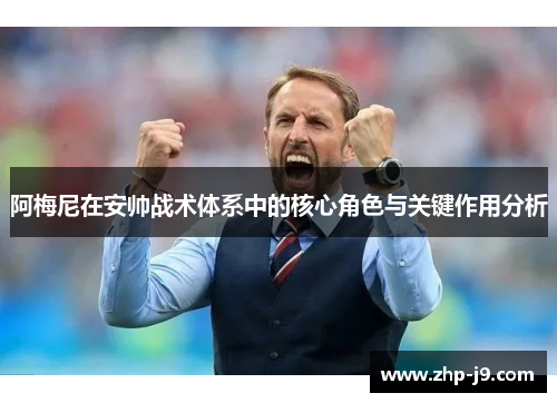 阿梅尼在安帅战术体系中的核心角色与关键作用分析
