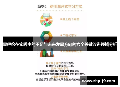 霍伊伦在实践中的不足与未来发展方向的六个关键改进领域分析
